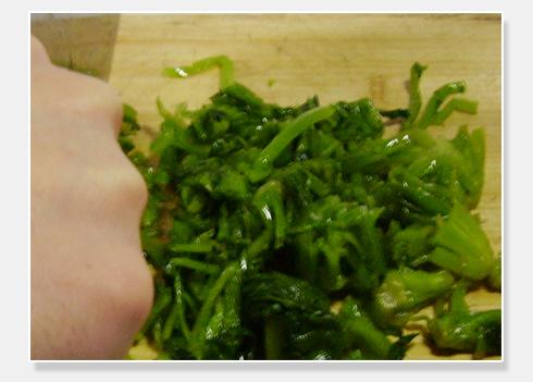 ѩ������������