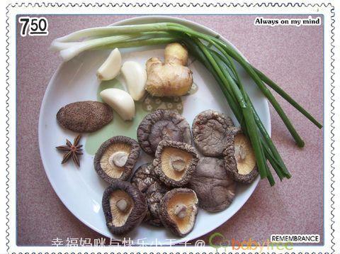 ����ɳ����������