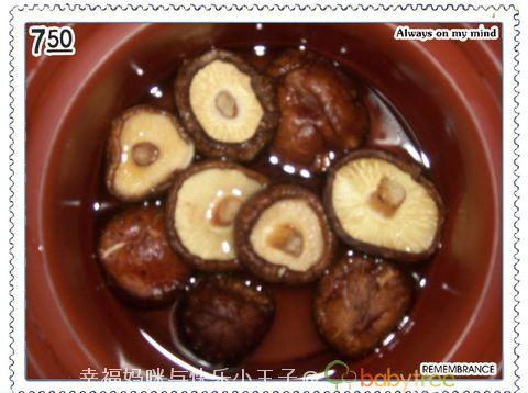 ����ɳ����������