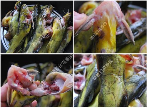 ���������ջ�����������