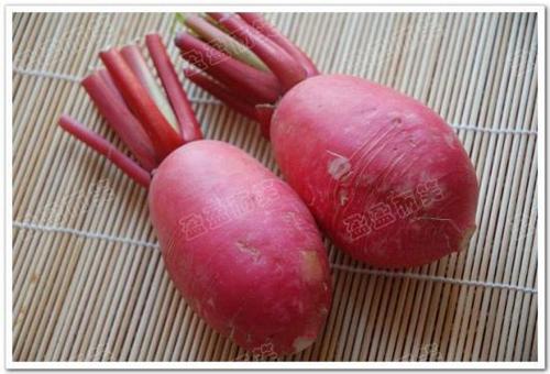 ������ܲ�˿������