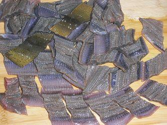 ��������ѼѪ��������