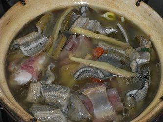 ��������ѼѪ��������