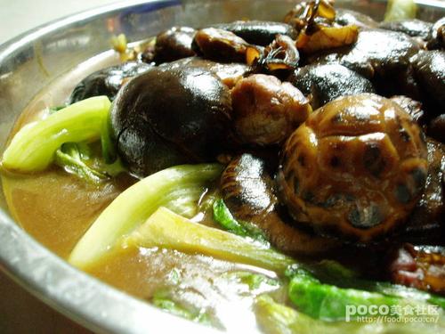 花菇蚝豉扒生菜的做法