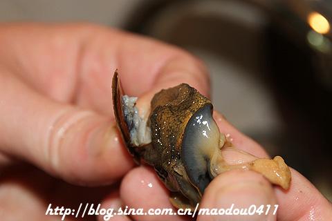 �������������