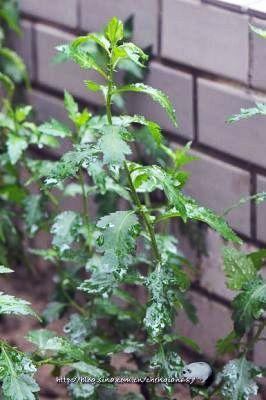 �ջ��͵���������