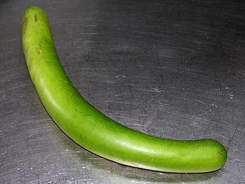 ë���������ӵ�����