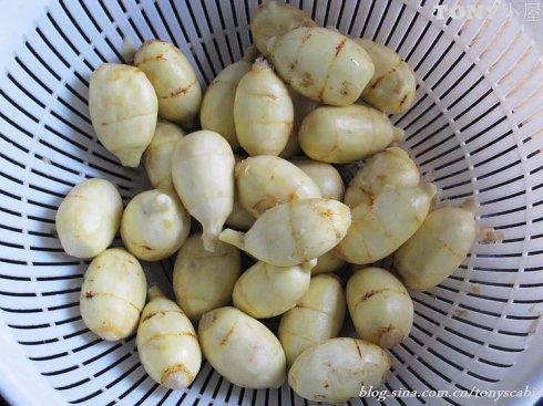 �ȹú����������