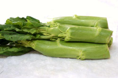 ��֭����Ƭ������