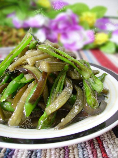 �������ӵ�����