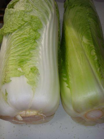 ���Ǽ�����ײ˵�����