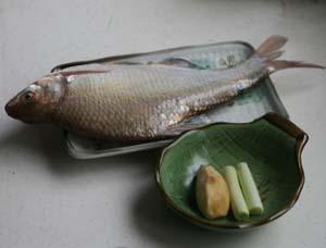 �������������