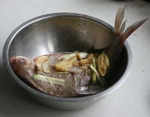 �������������