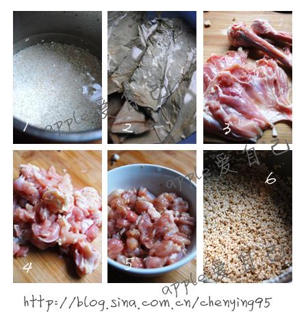 ��Ҷ���Ŵ�׼�������