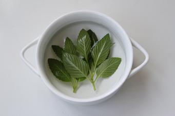 ���������Ƥ������