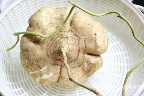 ɳ���Ź���������