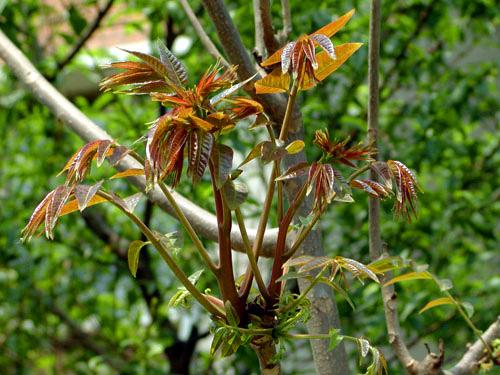 �㴻�趹��������