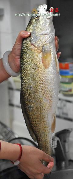 �̲������Ե�����