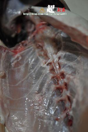 �̲������Ե�����