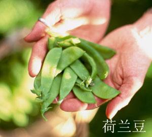 �����ļ���������