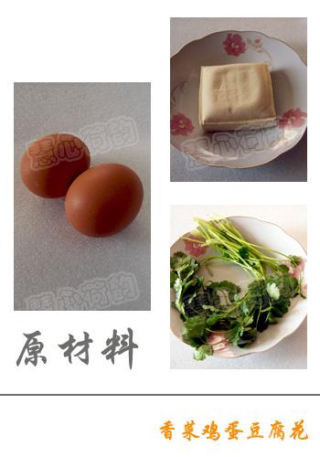 ��˼���������������