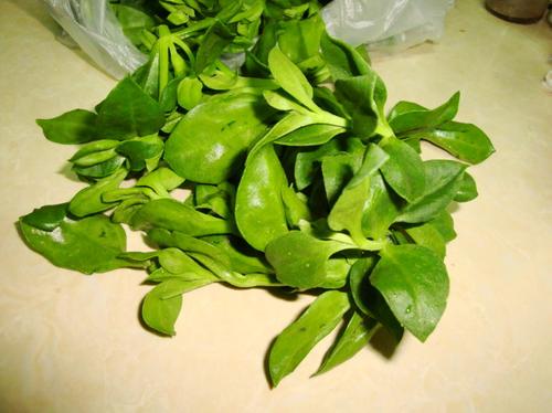 豆腐肥牛锅的做法