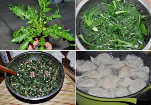 Ұ��ˮ��+����Ұ�˵�����