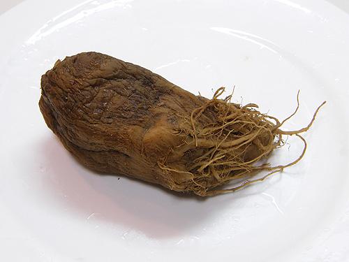 ͷ�������������