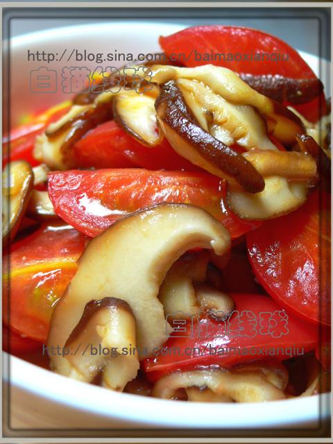 �㹽�����ѵ�����