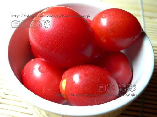 �㹽�����ѵ�����