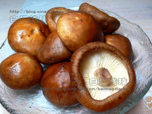 �㹽�����ѵ�����