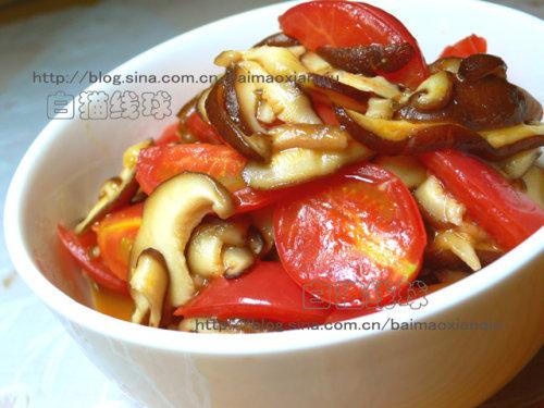 �㹽�����ѵ�����