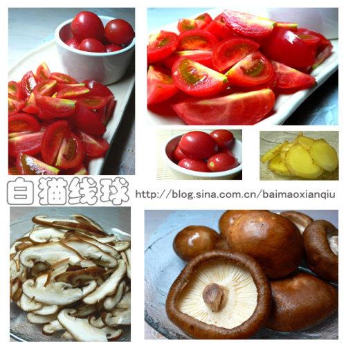 �㹽�����ѵ�����