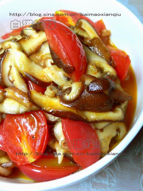 �㹽�����ѵ�����