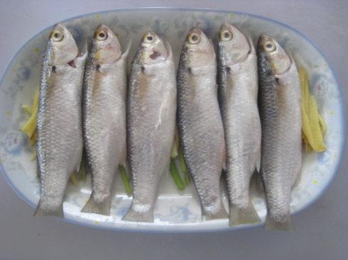 清蒸斋鱼的做法