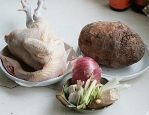 ����ɹ���������