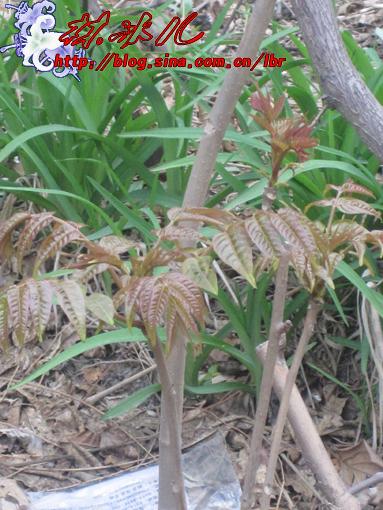 �����㴻������