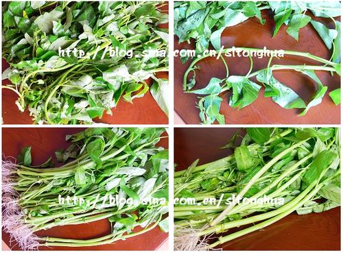 ˮ��ˮ���Ĳ˵�����