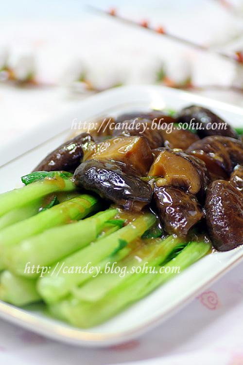 �����Ͳ˵�����