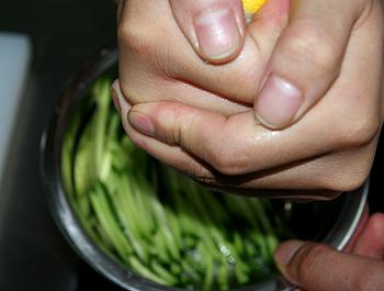 �����۲�ɳ��������