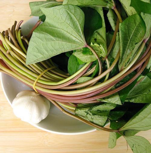 蒜炒红薯叶的做法