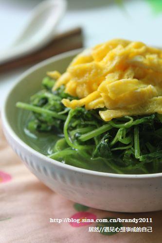 金丝益母草汤的做法