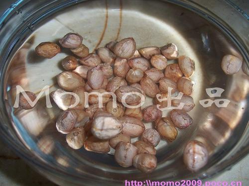 ���黨�����Źǵ�����