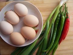 ���ϳ���������