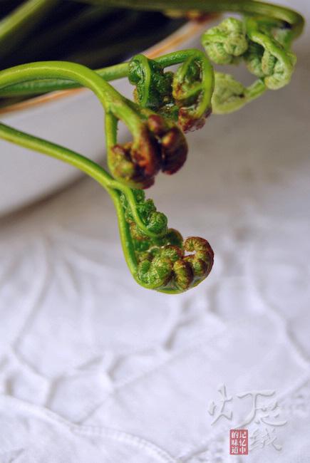 ާ�˸ɻ���������������