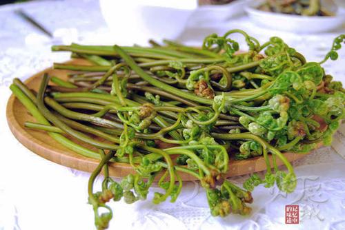 ާ�˸ɻ���������������