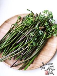 ާ�˸ɻ���������������