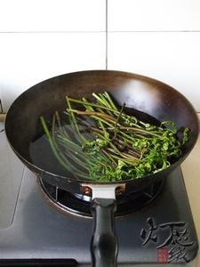 ާ�˸ɻ���������������