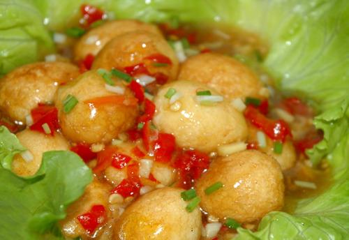 Ũ֭���ȵ�������