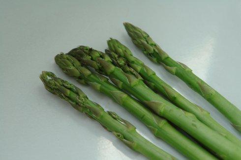 ����«�������